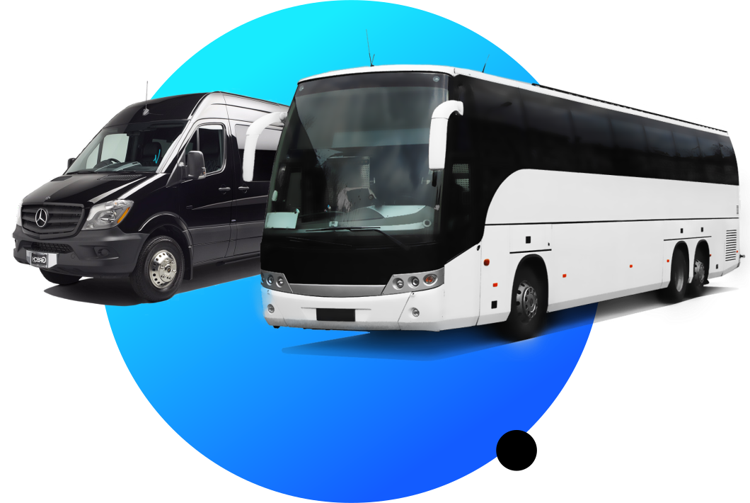 Bus i autobus